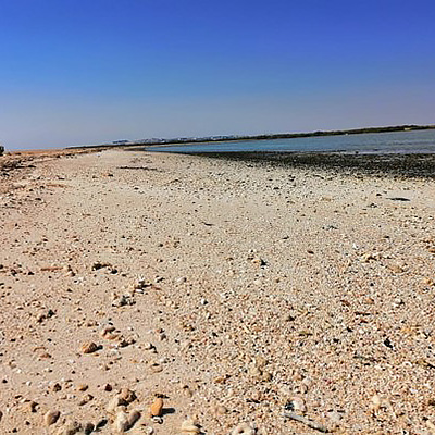 ETI Strand Säuberung von Plastik in Ägypten